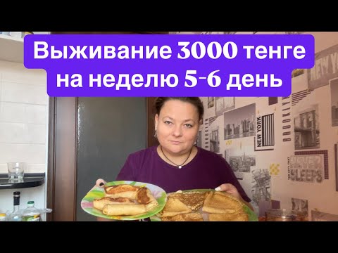 Видео: 30 октября 2024 г.Выживание 3000 тенге на неделю 5-6 день. Эксперимент в Казахстане.