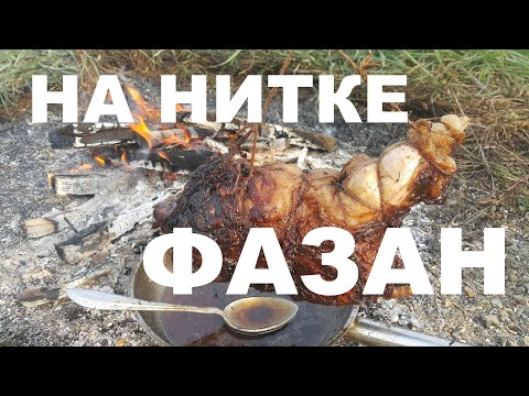 Видео: ФАЗАН НА НИТКЕ В КОСТРЕ РЕЦЕПТЫ СЮФ