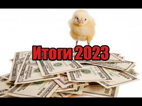 Видео: Итоги кур несушек 2023! Сколько заработал! Почему именно куры! Какие нюансы нужно знать про кур!