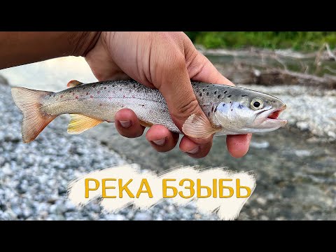 Видео: Река Бзыбь, ловля форели