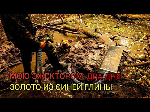 Видео: ЗОЛОТО ИЗ СИНЕЙ ГЛИНЫ МОЮ ЭЖЕКТОРОМ