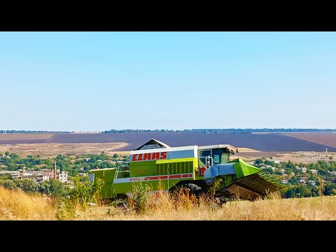Видео: Жнива продовжуються та інше