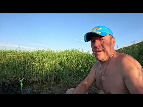 Видео: ЭТО КАРАСЬ!!! А ВСЕМУ ВИНОЙ РАКИ!!! РАКОВАЯ ДОЛИНА!!!