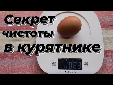 Видео: ПРАВИЛЬНАЯ добавка в корм несушкам. ПРАВИЛЬНЫЙ вход в гнездо. Улучшаем курятник. Меняем распорядок.