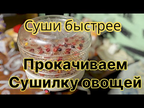 Видео: Сушилка для овощей и фруктов улучшаем работу 