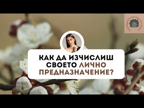 Видео: Как да изчислиш личното си предназначение по системата #матрицанасъдбата ?