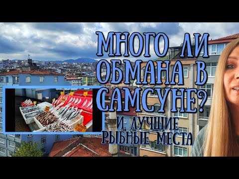 Видео: Много ли обманывают в северной Турции 🇹🇷 Самсун и рыбные места которые нужно знать