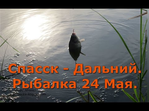 Видео: Спасск - Дальний. Рыбалка 24 мая.