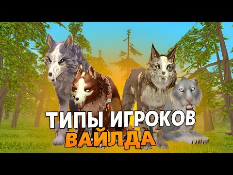 Видео: ТИПЫ ИГРОКОВ В ВАЙЛД КРАФТ! А какой ты тип?