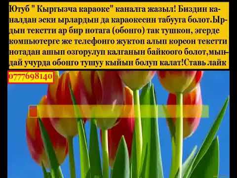 Видео: Бек Борбиев Жубайыма караоке