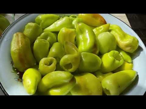 Видео: ҚЫСҚА БОЛГАР БҰРЫШЫН ҚАТЫРЫП  САҚТАУ. Заморозки болгарского перца.Көкөністерді қысқа  сақтау әдісі.