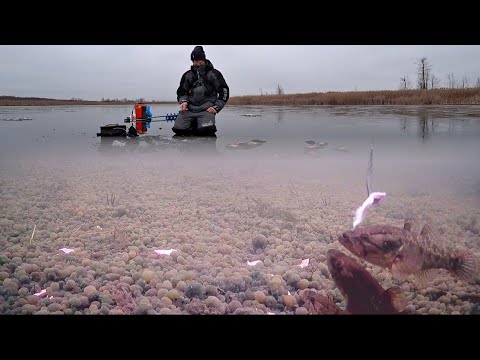 Видео: Опустил камеру под лёд, а там затаилась РЫБА! Её реакция на мою наживку. Рыбалка со льда 2021-2022.