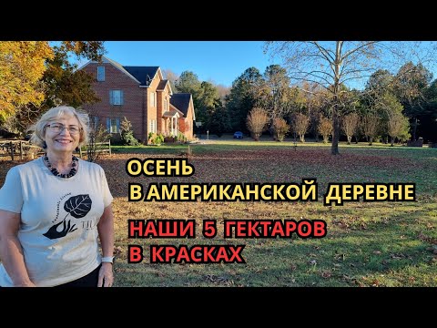 Видео: Жизнь в американской деревне. 5 гектаров земли в США осенью. Обзор двора и дикого леса на участке