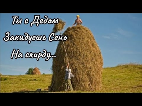 Видео: Обзор дома в деревне Лошица,Слуцкий район, Минская область.