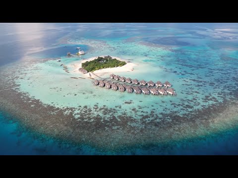 Видео: Drift Thelu Veliga Retreat - Те самые Мальдивы в апреле