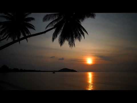 Видео: РЕЛАКС Нежный Шум Моря и Цикады  Для Сна/RELAX Delicate Sound of the Sea and Cicadas for Sleep