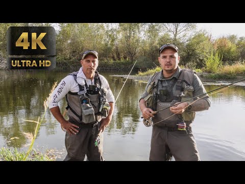 Видео: Епизод 7. Есенен риболов на Кефал.   /Ep. 7  Autumn chub fishing/