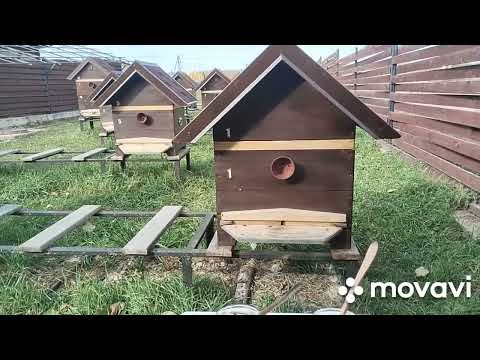 Видео: #МёдИ150летобмана, часть-1(Эльфийский мёд из Кали-Юги)