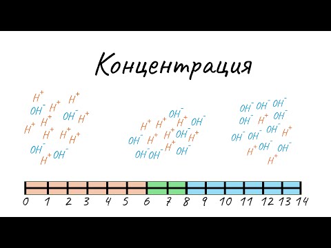 Видео: Концентрация [Химия негіздері]