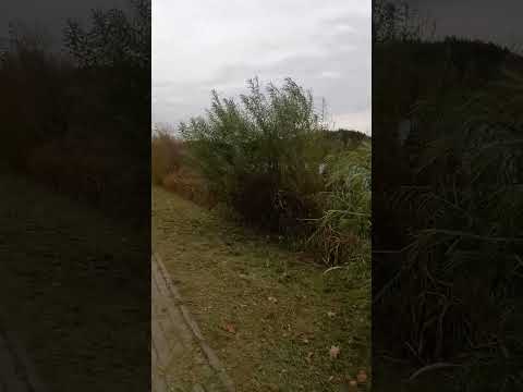 Видео: Любовь к самому себе. Практика