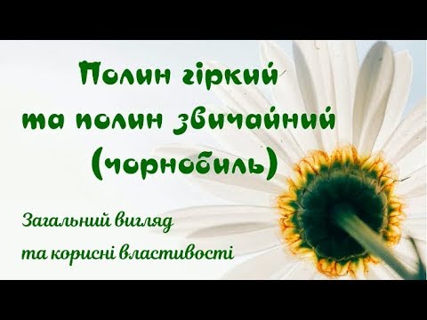 Видео: Полынь горькая и обычная (чернобыльник)