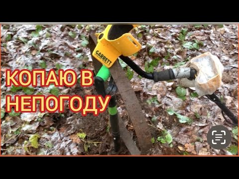 Видео: КОПАЮ В НЕПОГОДУ С КОМРАДОВОЙ АСЕ250 С DD КАТУШКОЙ