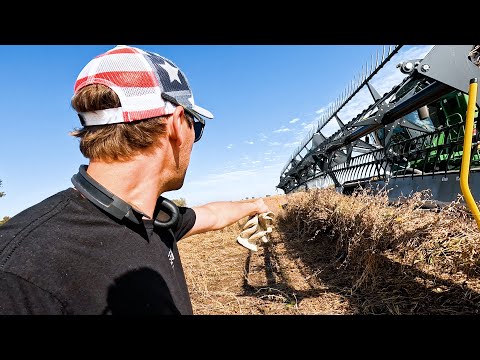 Видео: Эм, кажется, он забит!? Эпизод 10