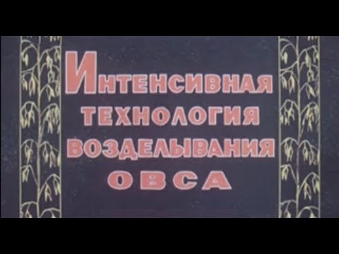 Видео: Технология возделывания овса