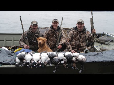 Видео: БЫСТРЫЙ РАЗНООБРАЗНЫЙ ОПЫТ: охота на водоплавающую дичь в Онтарио | Canada in the Rough