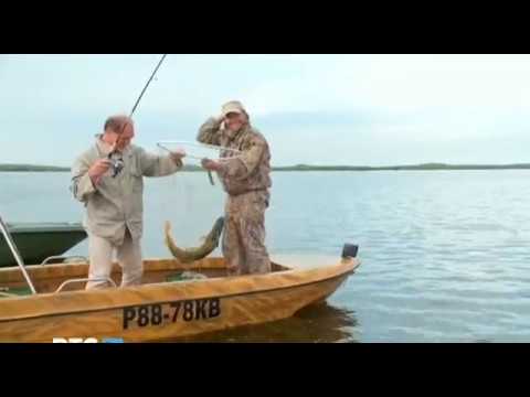 Видео: Охота на щуку в лиманах Приморско-Ахтарска