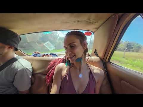 Видео: Едем смотреть участок земли Парагвай | Что по ценам?
