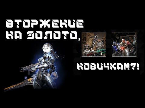 Видео: The First Descendant - Как получить Хайли - Вторжения на золото новичкам? ДА!