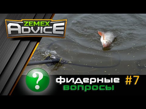 Видео: ВСЁ О ФИДЕРЕ / ОТВЕТЫ НА ВОПРОСЫ / ZEMEX Advice