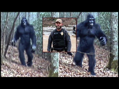 Видео: Загадочная Пропажа Офицера Полиции в Дымных Горах — Нашли Лишь Его Разорванную Форму
