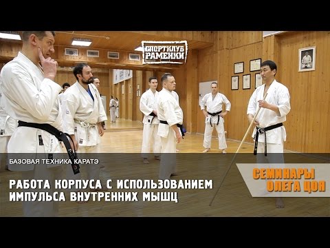 Видео: Каратэ Шотокан. Уроки Олега Цоя. Работа корпуса с использованием импульса внутренних мышц