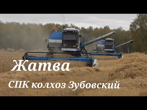 Видео: Жатва в СПК колхоз Зубовский. Комбайны Енисей-1200-1 + Зил-130