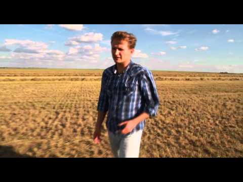 Видео: Большие города. ПГТ Осакаровка. Выпуск от 22.08.13