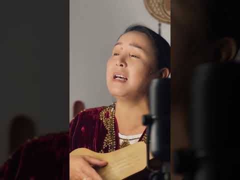 Видео: 5 августа 2025 г.