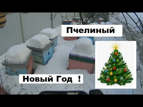 Видео: Пчелиный календарь