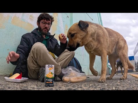 Видео: Интересная граница страны в Патагонии и странное путешествие! (Эль Калафате)