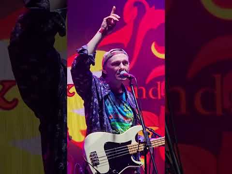 Видео: Музыка звучит, Рома ВПР / Регги фест