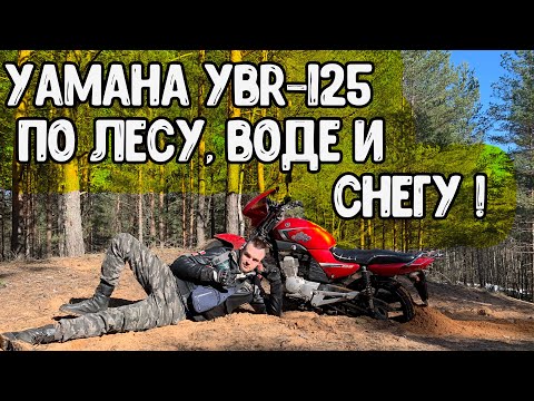 Видео: Yamaha Ybr 125 На бездорожье в лесу