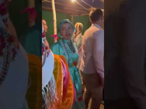 Видео: 1 ноября 2025 г.