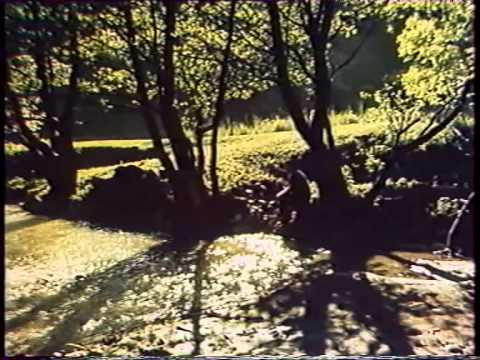 Видео: ВАСИЛЬ БОКОЧ -КАМИНИЦЬ,ВІЛЬХІВЦІ