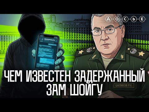 Видео: Задержан заместитель Шойгу Цаликов. Что о нем известно? | Досье