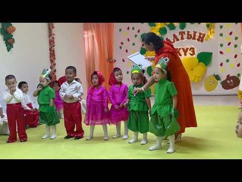 Видео: Алтын күз 2025🍁/ Балдырған тобы