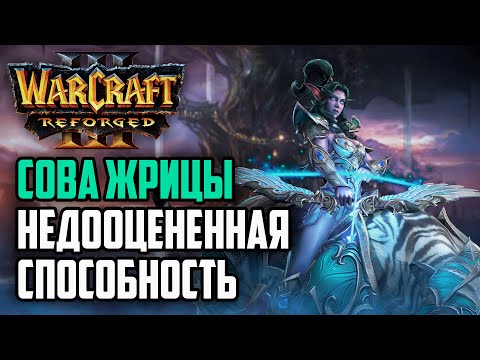 Видео: СОВА ЖРИЦЫ ЛУНЫ ЯВНО НЕДООЦЕНЕНА: Warcraft 3 Reforged Yange (Orc) vs dhaimoon (Ne)