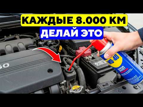 Видео: Если Ты НЕ ДЕЛАЕШЬ ЭТО С WD-40, То Ты Просто ГЛУПЕЦ