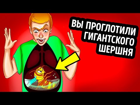 Видео: Что, если проглотить шершня и он вас ужалит?