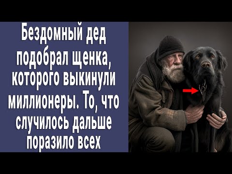 Видео: Нищий дед подобрал щенка, которого выкинули миллионеры. То, что произошло дальше поразило всех